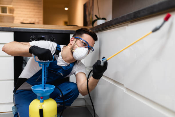 Best Residential Pest Control  in White Oak, OH