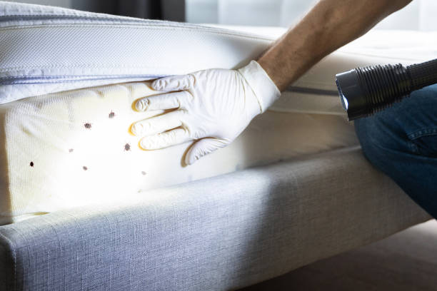 Best Emergency Pest Control  in White Oak, OH