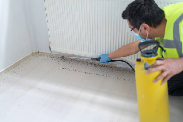 Best Pest Prevention Services  in White Oak, OH