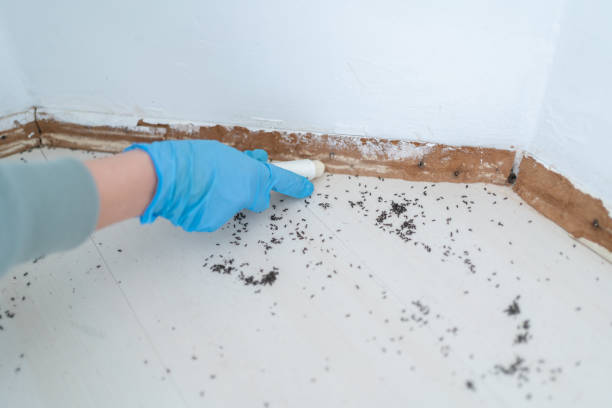 Best Pest Control for Businesses  in White Oak, OH